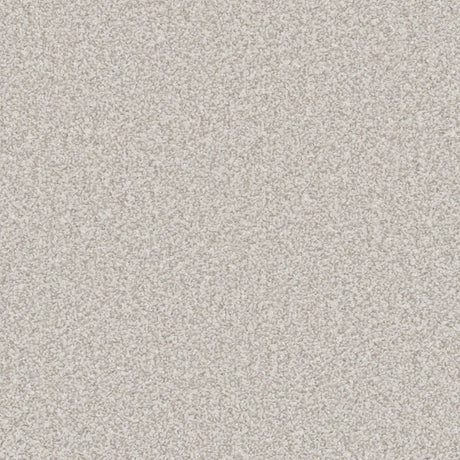 Light grey carpet with dense, soft pile texture | Home Centre Direct UK