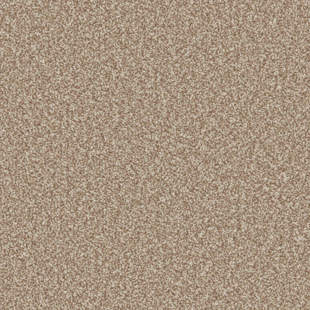 Warm beige textured carpet with dense, soft pile | Home Centre Direct UK