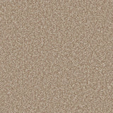Warm beige textured carpet with dense, soft pile | Home Centre Direct UK