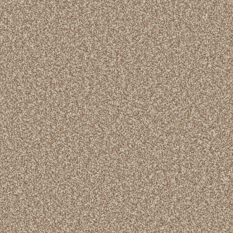 Warm beige textured carpet with dense, soft pile | Home Centre Direct UK