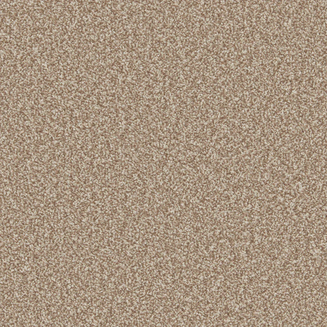 Warm beige textured carpet with dense, soft pile | Home Centre Direct UK