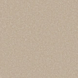 Warm beige carpet with a soft, dense texture in a speckled pattern | Home Centre Direct UK