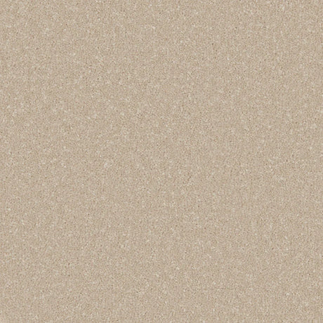 Warm beige carpet with a soft, dense texture in a speckled pattern | Home Centre Direct UK