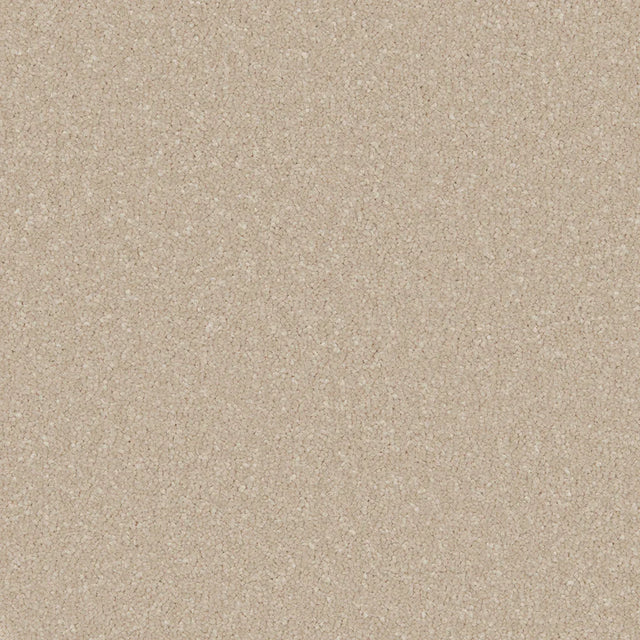 Warm beige carpet with a soft, dense texture in a speckled pattern | Home Centre Direct UK