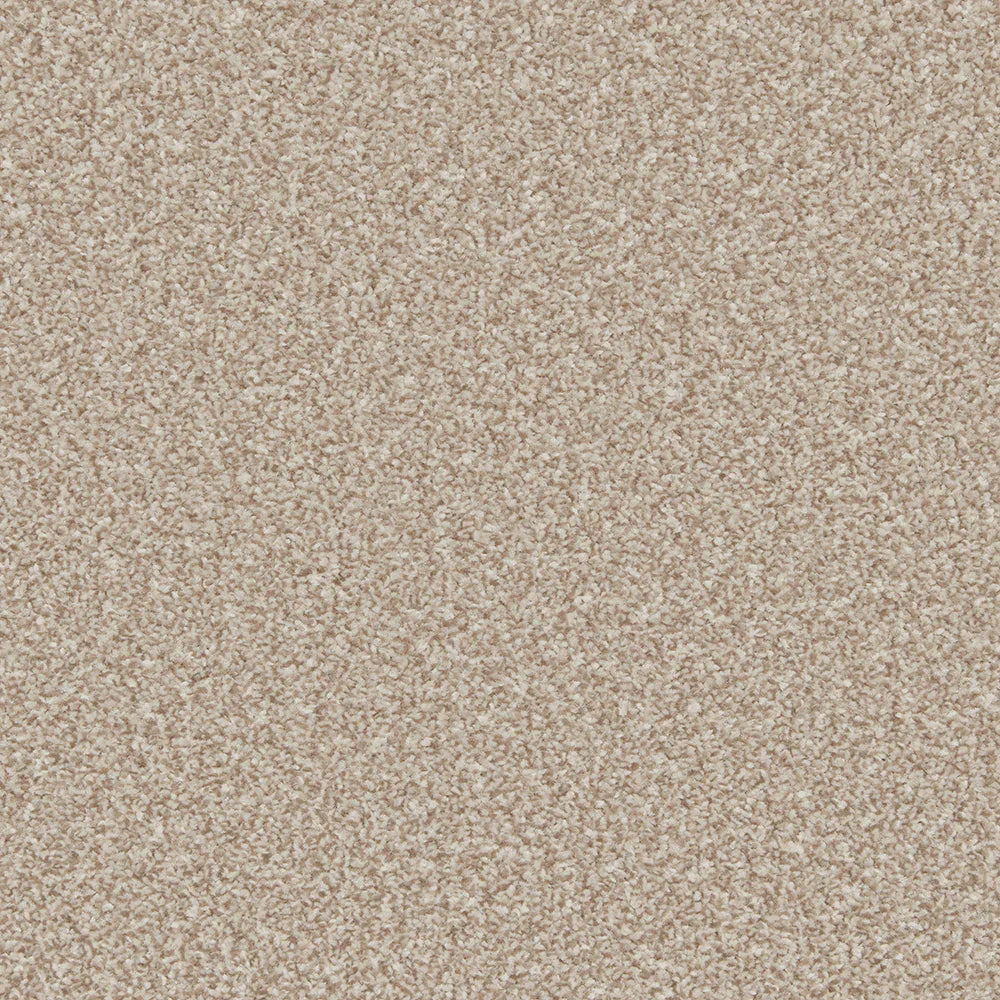 Warm beige carpet with dense, plush texture in soft pile | Home Centre Direct UK