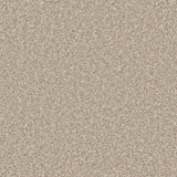 Warm beige carpet with dense, plush texture in soft pile | Home Centre Direct UK
