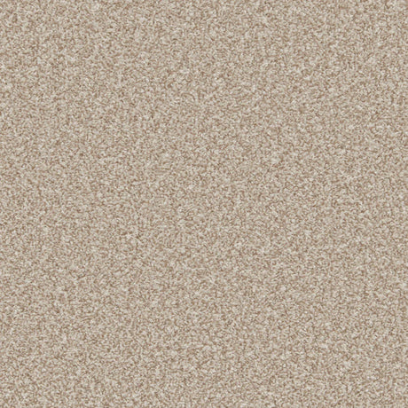 Warm beige carpet with dense, plush texture in soft pile | Home Centre Direct UK