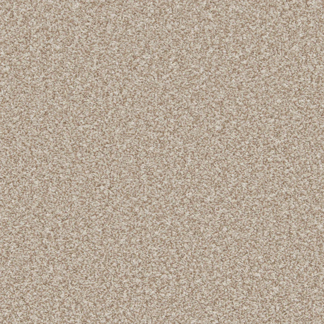 Warm beige carpet with dense, plush texture in soft pile | Home Centre Direct UK