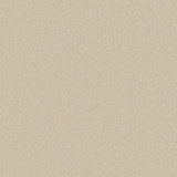 Ecru carpet with soft, even texture in a neutral setting | Home Centre Direct UK