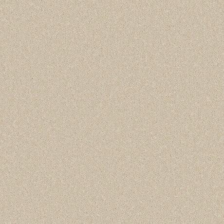 Ecru carpet with soft, even texture in a neutral setting | Home Centre Direct UK