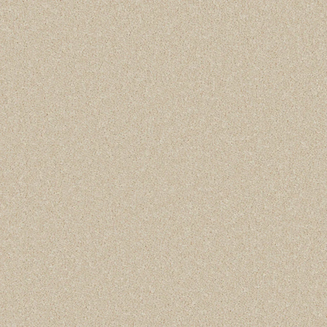 Ecru carpet with soft, even texture in a neutral setting | Home Centre Direct UK