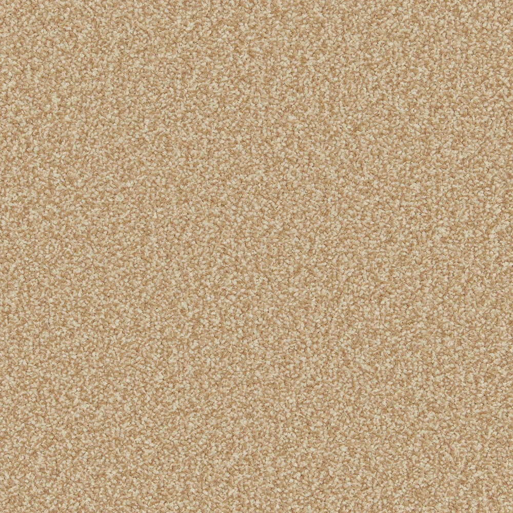 Warm flax-toned carpet with soft, dense texture in a plush finish | Home Centre Direct UK