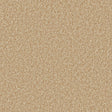 Warm flax-toned carpet with soft, dense texture in a plush finish | Home Centre Direct UK