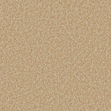 Warm flax-toned carpet with soft, dense texture in a plush finish | Home Centre Direct UK