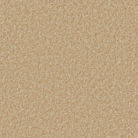 Warm flax-toned carpet with soft, dense texture in a plush finish | Home Centre Direct UK