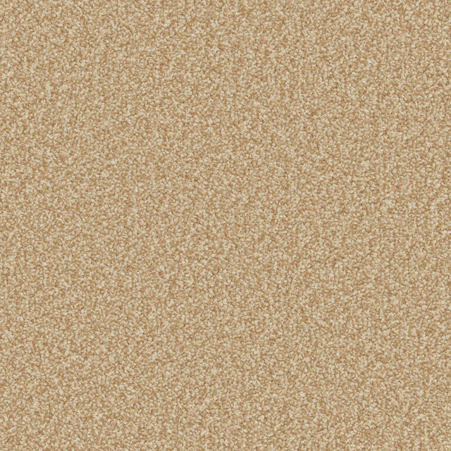 Warm flax-toned carpet with soft, dense texture in a plush finish | Home Centre Direct UK
