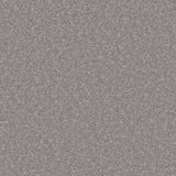 French grey carpet with soft, dense texture in a plush finish | Home Centre Direct UK