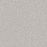 Light grey carpet with soft, dense texture in a plush finish | Home Centre Direct UK