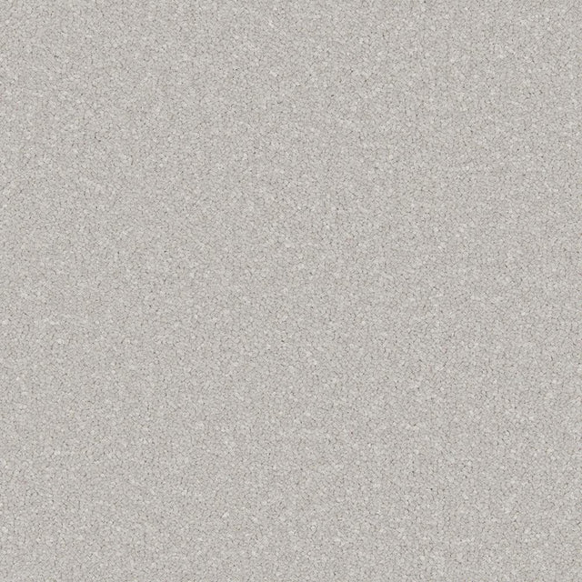 Light grey carpet with soft, dense texture in a plush finish | Home Centre Direct UK