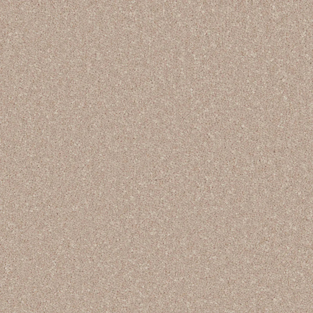 Creamy beige carpet with a soft, even texture in a seamless finish | Home Centre Direct UK