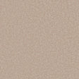 Creamy beige carpet with a soft, even texture in a seamless finish | Home Centre Direct UK