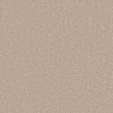 Creamy beige carpet with a soft, even texture in a seamless finish | Home Centre Direct UK