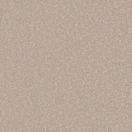 Creamy beige carpet with a soft, even texture in a seamless finish | Home Centre Direct UK