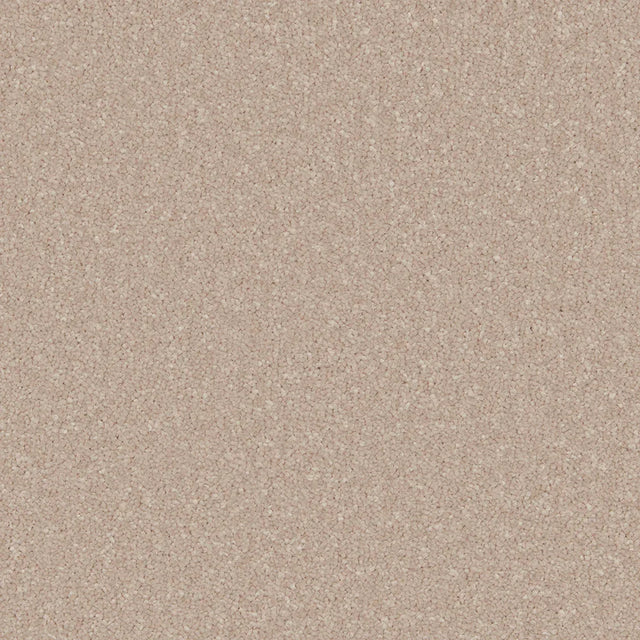 Creamy beige carpet with a soft, even texture in a seamless finish | Home Centre Direct UK