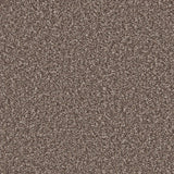 Peppercorn textured carpet with dense looped pile | Home Centre Direct UK