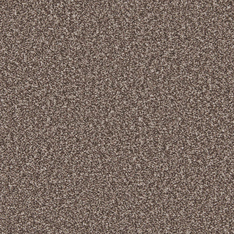 Peppercorn textured carpet with dense looped pile | Home Centre Direct UK