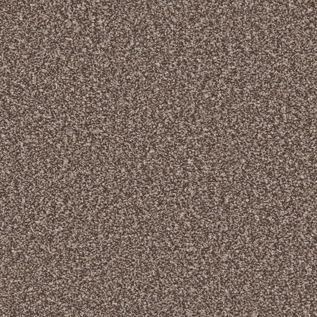 Peppercorn textured carpet with dense looped pile | Home Centre Direct UK