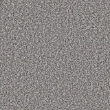 Pewter grey carpet with dense textured pile | Home Centre Direct UK