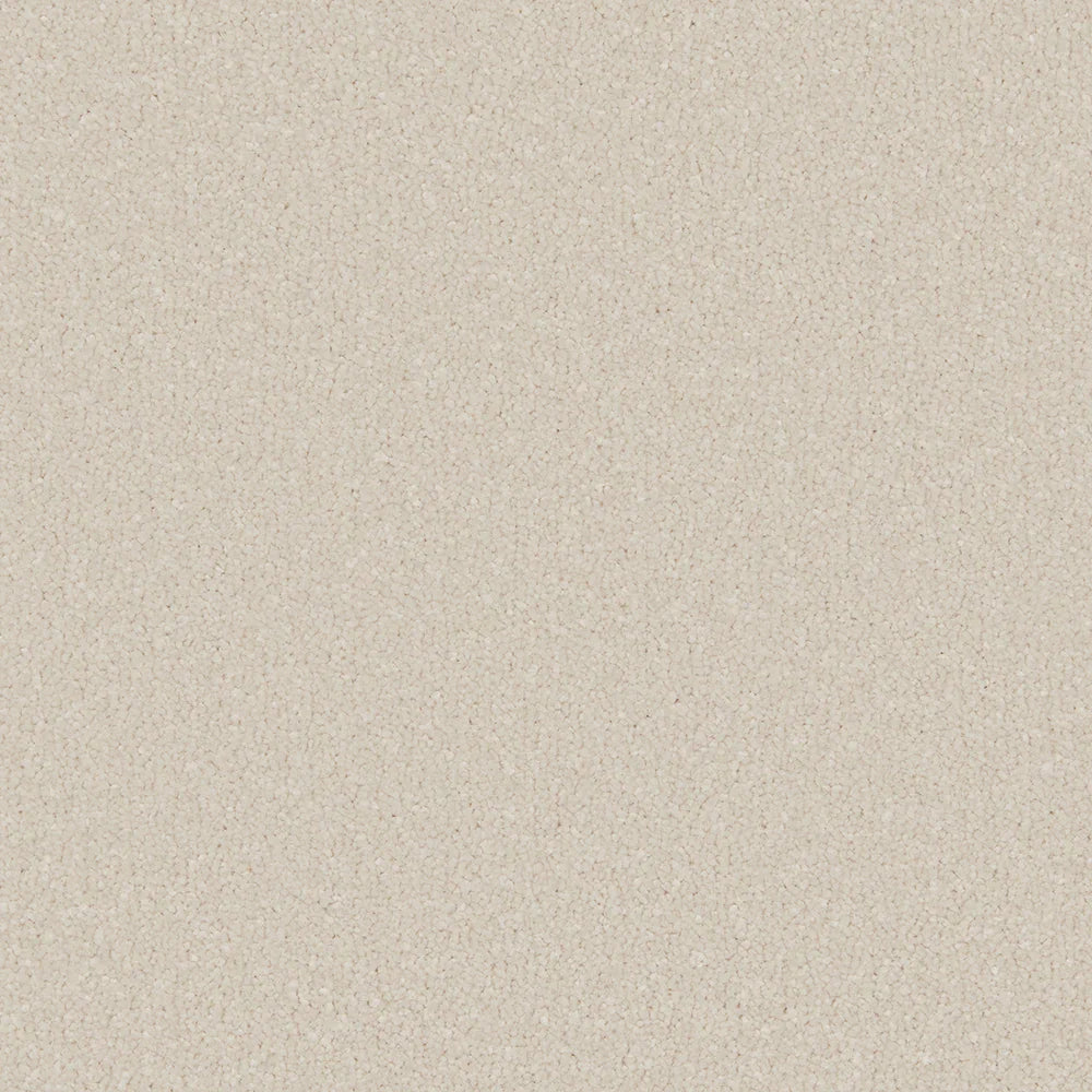 Cream plush carpet with soft, dense texture | Home Centre Direct UK