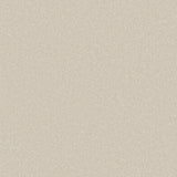Cream plush carpet with soft, dense texture | Home Centre Direct UK