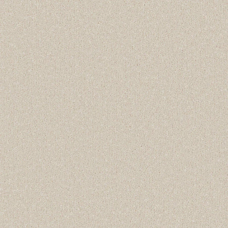 Cream plush carpet with soft, dense texture | Home Centre Direct UK