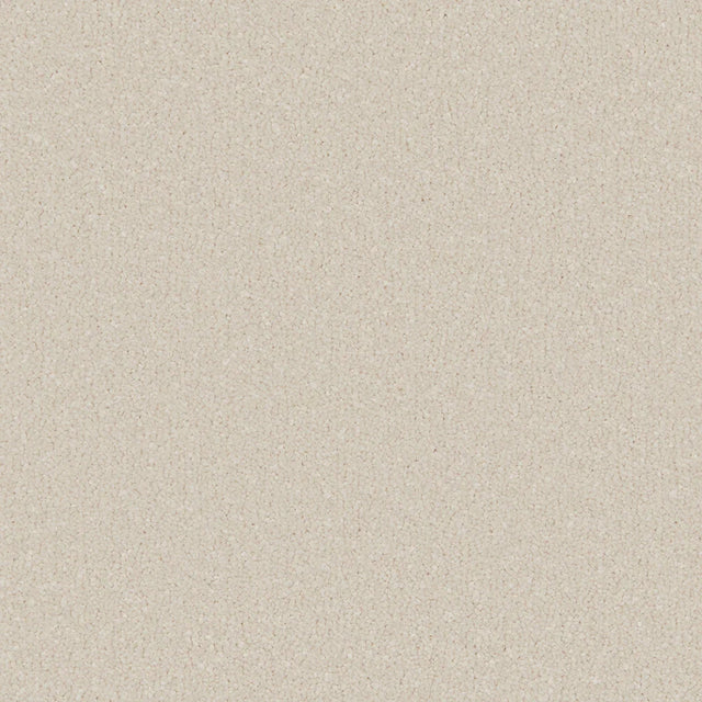 Cream plush carpet with soft, dense texture | Home Centre Direct UK