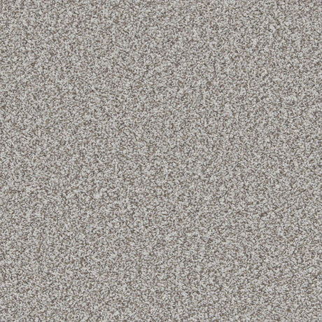 Soft grey carpet with dense, speckled texture | Home Centre Direct UK