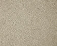 Light beige carpet with a dense, looped pile texture | Home Centre Direct UK