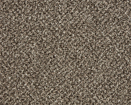 Brown textured carpet with a dense, looped pile | Home Centre Direct UK