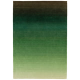 Ombre OM04 Green Rug - Image 1