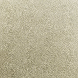 80cm Cream Velvet Medium Tufted Bench with Champagne Legs