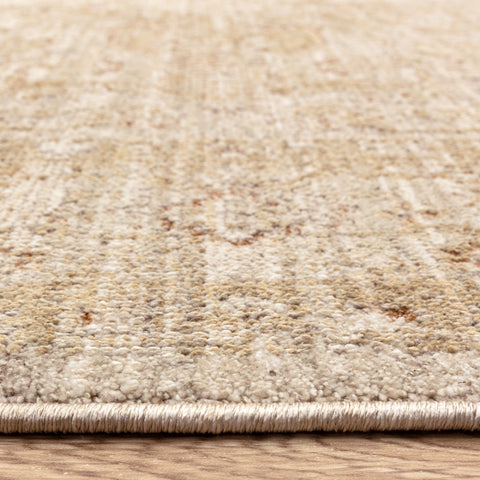 Heriz Serapi Beige Rug - Image 4