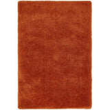 Rust shaggy rug with soft texture and rectangular shape, shown from above