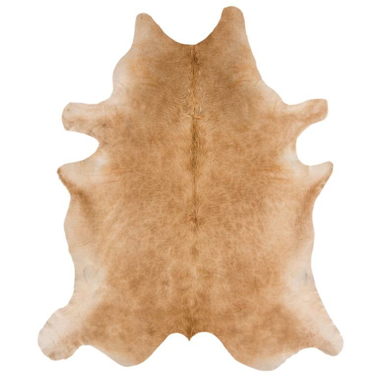Rodeo 05 Solid Beige Rug 100x100cm