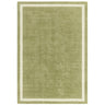 ALBI Green Rug - Image 1