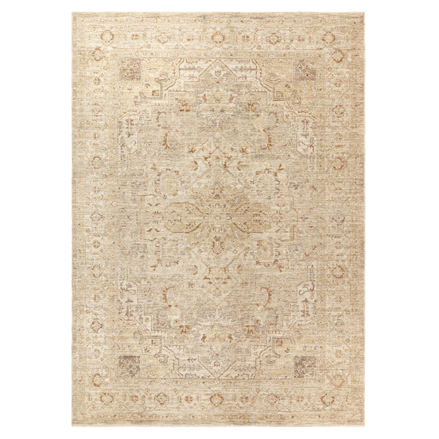 Heriz Serapi Beige Rug - Image 1
