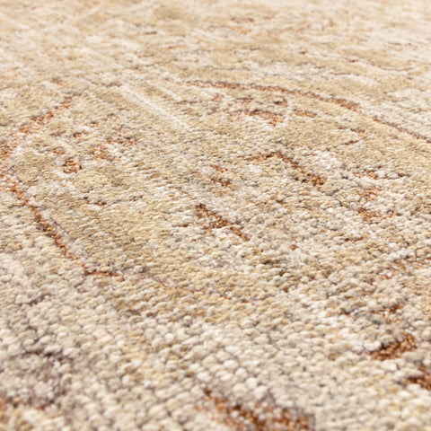 Heriz Serapi Beige Rug - Image 3