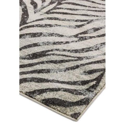 Nova Zebra Grey Nv27 Rug
