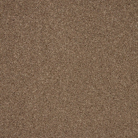 Warm brown textured carpet with dense, plush pile | Home Centre Direct UK