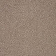 Biscuit-toned carpet with a soft, dense texture | Home Centre Direct UK